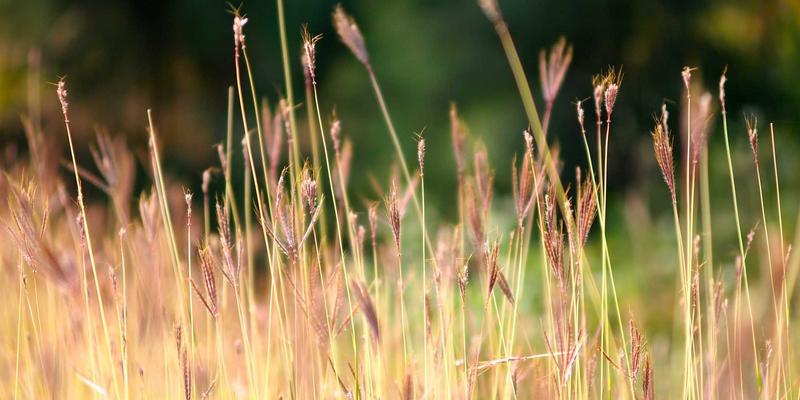 海尔空调除湿不给力？别急着报修！深度解析湿度传感器与系统循环故障